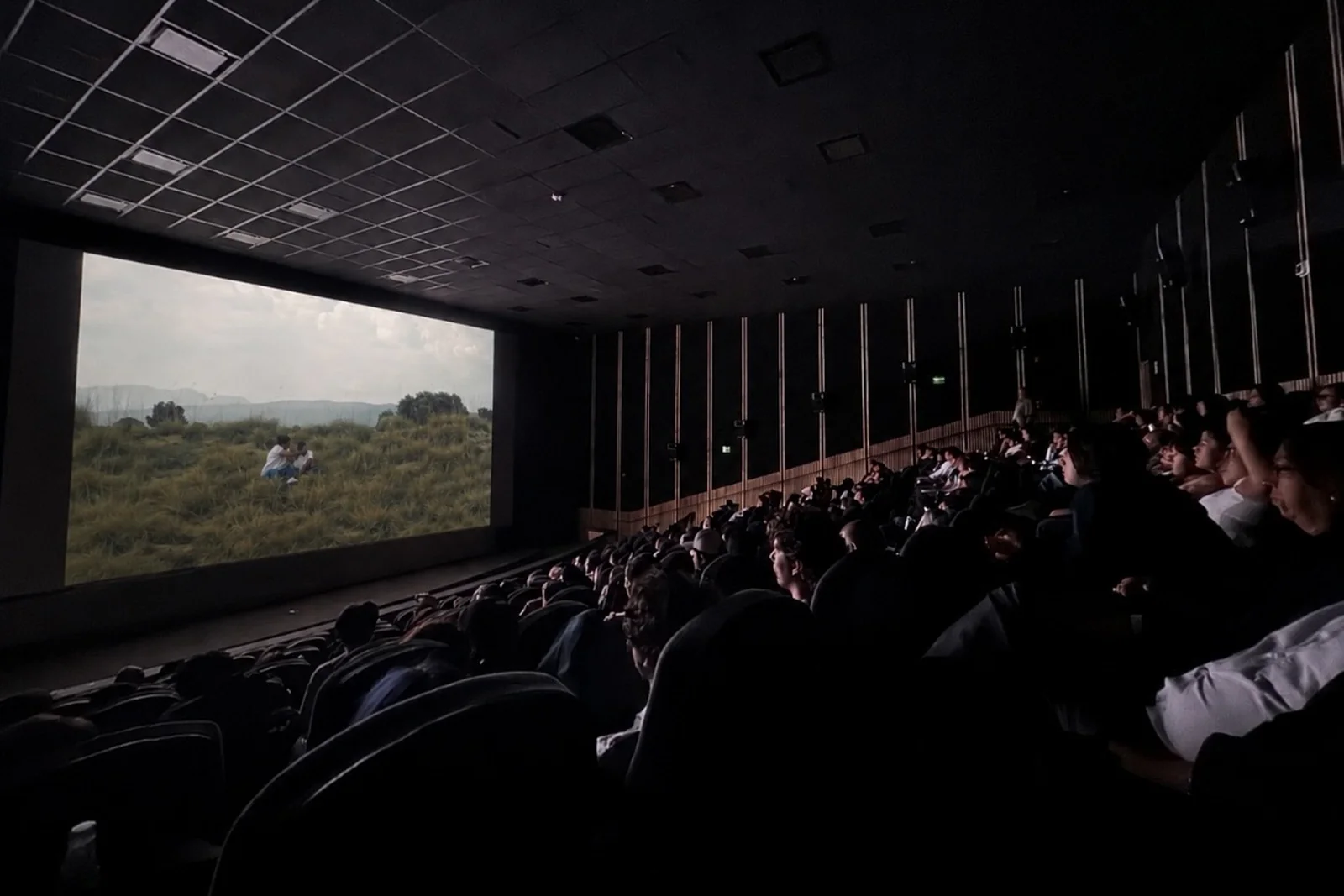 Sala de la Cineteca Nacional durante una proyección, vista desde atrás.