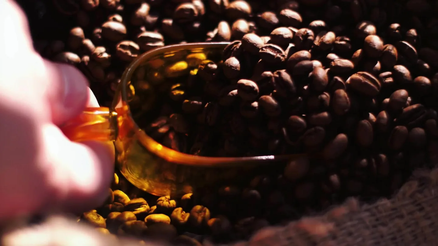 Mano con cuchara ámbar recoge granos de café tostado.
